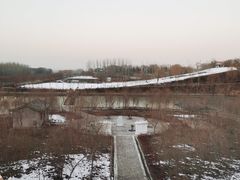 -东方巨龟苑景区