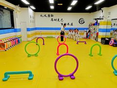 -浛道跆拳道·拳击·体适能