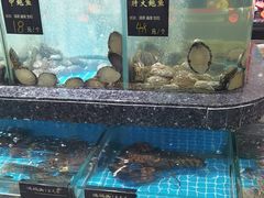 -渔码头食府(蓬莱阁店)