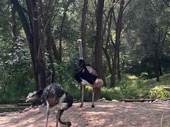 -北京野生动物园