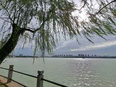 -无锡蠡湖国家湿地公园-蠡园