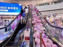 -鹏欣水游城