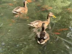 -水磨沟公园