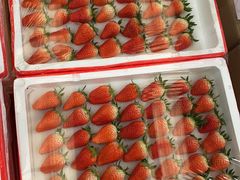 -西郊国际农产品交易中心