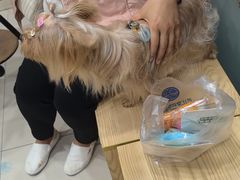 -芭比堂动物医院(广州爱宠下渡路分院)