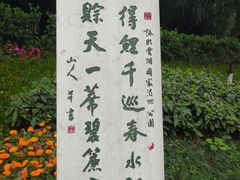-重庆彩云湖湿地公园