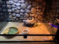 -未来动物城动物主题公园(大悦城店)