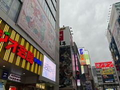 -秋叶原电器街
