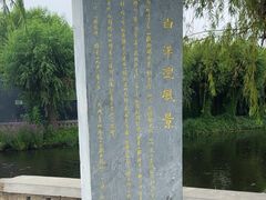 -白洋淀风景区