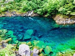 -叠溪松坪沟景区