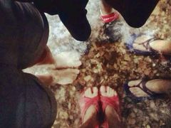 鼎湖山-鼎湖山风景区