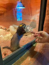 -酷嗒动物文化乐园(cutezoo西溪乐天城店)