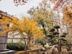 -南通博物苑-崇川人民公园