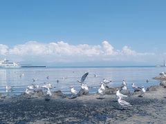 -青海湖二郎剑景区