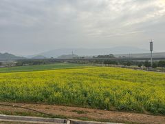 -光明小镇欢乐田园