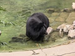 -石家庄市动物园