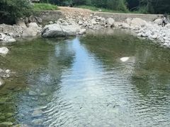 -青峰峡国家森林公园