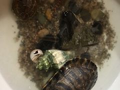 -白家餐厅(徐家汇店)