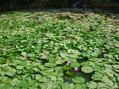 -西樵山风景名胜区-天湖公园