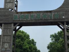 -溱湖国家湿地公园