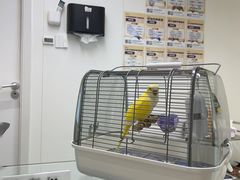 -立德异宠动物医院.兔鸟爬.内窥镜(天河店)