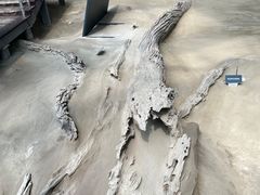-金沙遗址博物馆