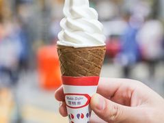 -富豪雪糕车流动点(尖沙咀店)