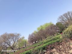 -西安青龙寺遗址景区