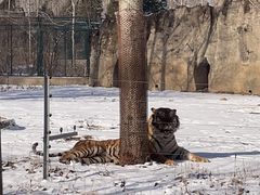 -秦皇岛野生动物园