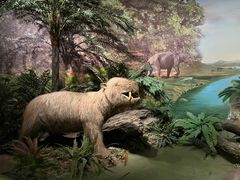 -湖南省地质博物馆