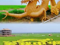 -红海滩国家风景廊道