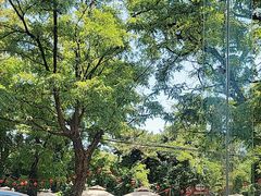 -丽泽山庄·生态怀柔菜·虹鳟鱼(红螺寺店)