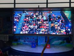 -成都浩海立方海洋公园