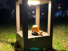 -泡泡玛特POPMART(天环购物中心店)