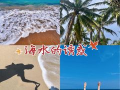 -东郊椰林