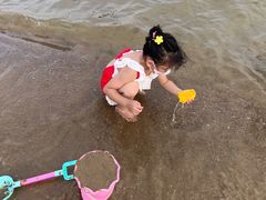 -碧海金沙