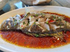 -广玉兰上海菜(德平店)