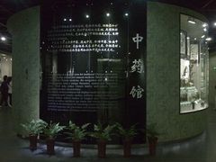 中药店-广东中医药博物馆