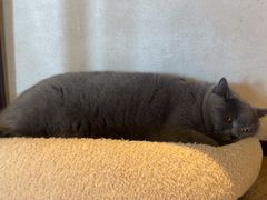 -Me Coffee下午茶艺术空间