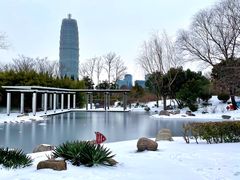 -郑东新区湿地公园