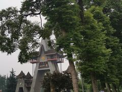 -青城山
