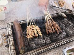 -吴淞炮台湾湿地森林公园烧烤区