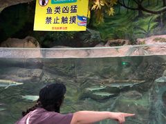 -多彩贵州城极地海洋世界