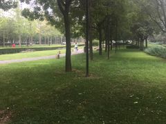 -唐城墙遗址公园