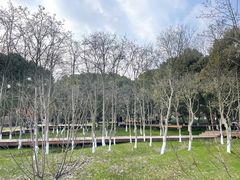 -良渚古城遗址公园