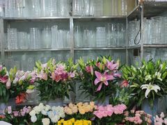 -桂林市花鸟市场