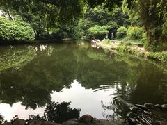 -成都市活水公园