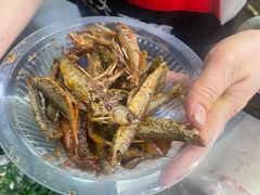 蒋师傅小鱼儿-大马弄蒋师傅美食酥鱼(察院前店)