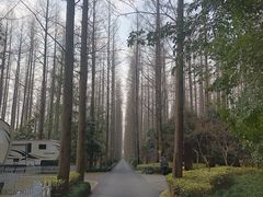 -上海怡沁园度假酒店