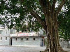 -开平碉楼文化旅游区马降龙景区